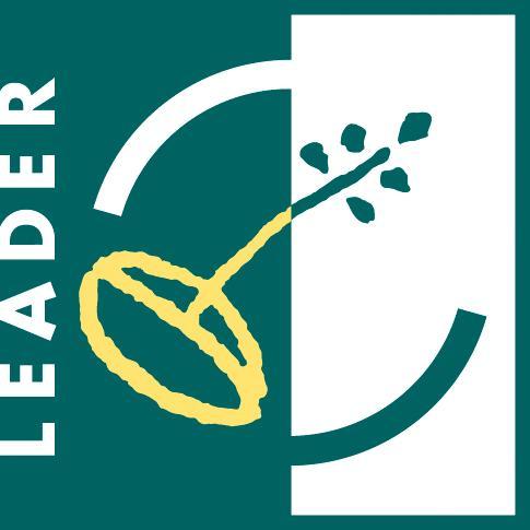 Logo leader hd